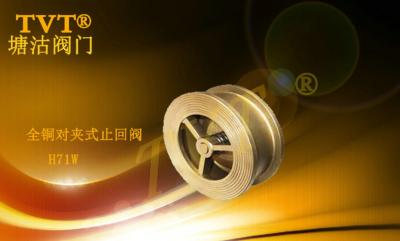 全铜对夹式止回阀